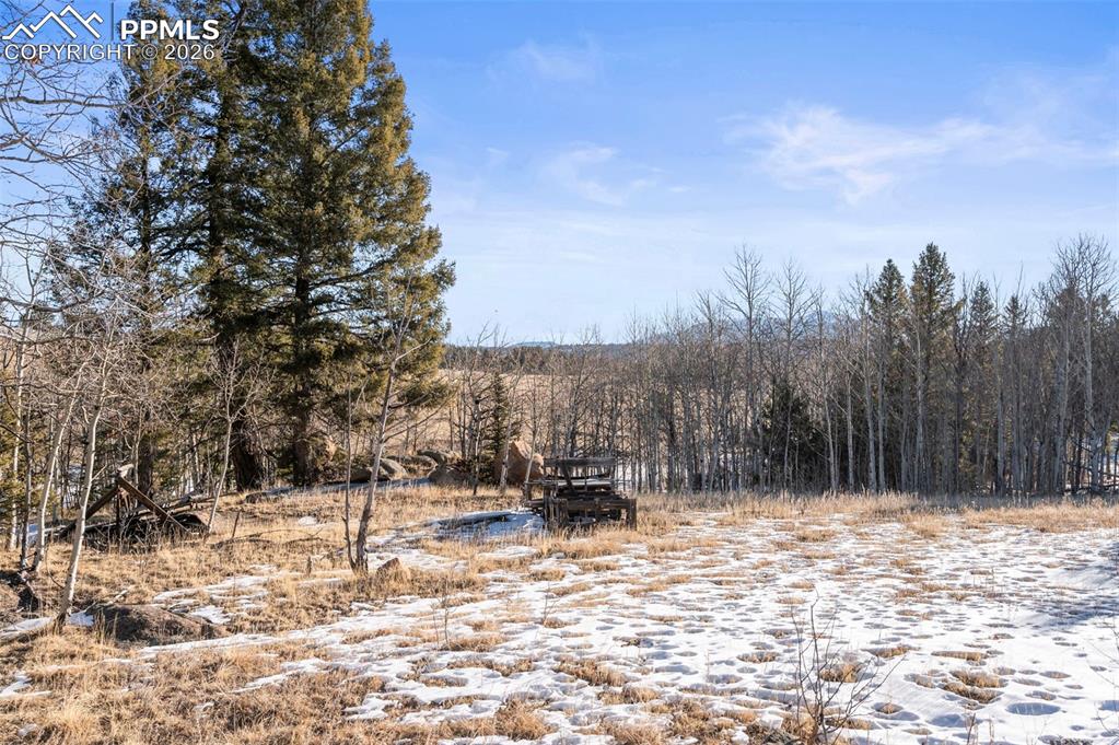 Image 25 of 25: Snowy view