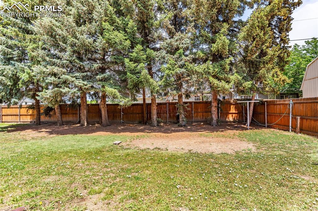 Image 31 of 42: View of yard