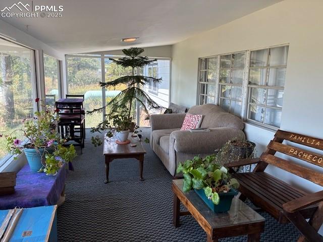 Image 13 of 30: Sunroom / solarium with lofted ceiling and carpet flooring