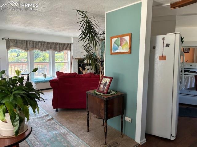 Image 15 of 30: Living room featuring a textured ceiling and carpet flooring