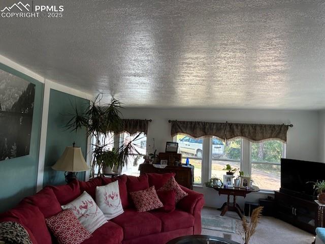 Image 18 of 30: Carpeted living room with a textured ceiling