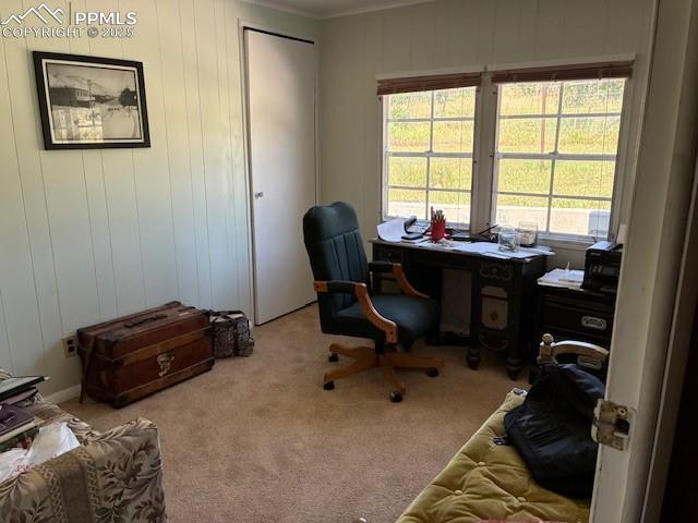 Image 6 of 30: Office area with wood walls, light carpet, and ornamental molding