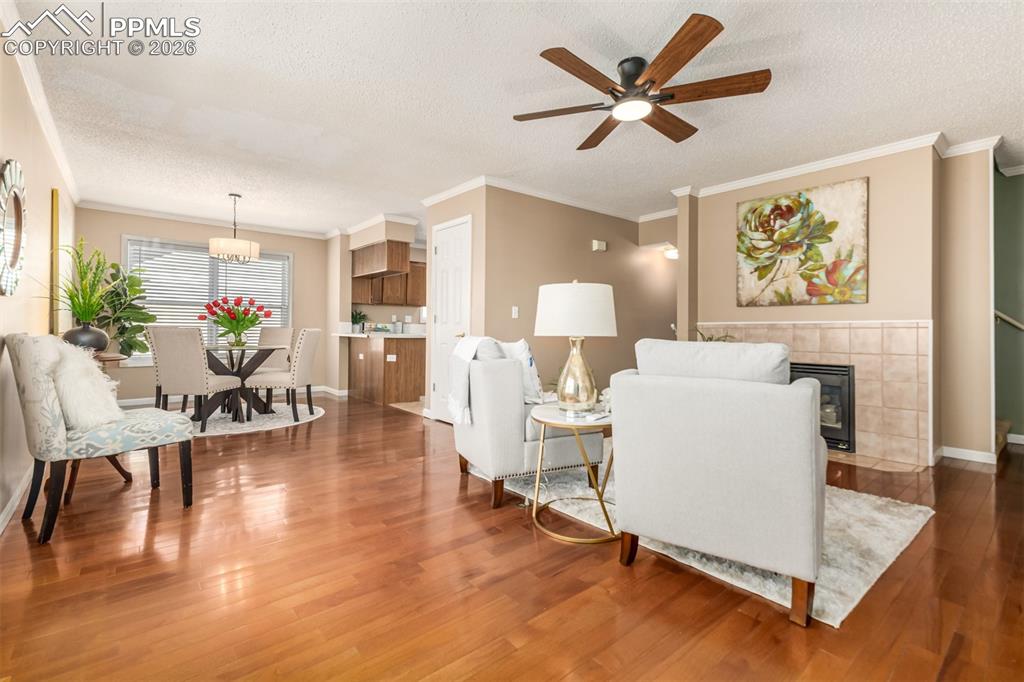 Image 5 of 30: Living room with a ceiling fan, hardwood flooring and crown molding