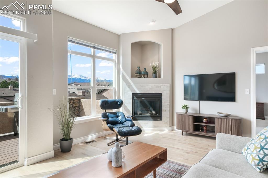 Image 6 of 50: Other