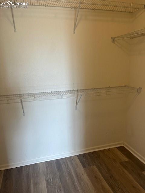 Image 18 of 29: Large Primary Walk-In Closet