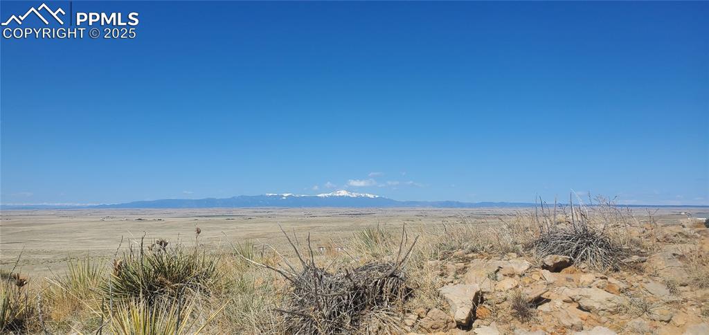 Image 12 of 24: Other