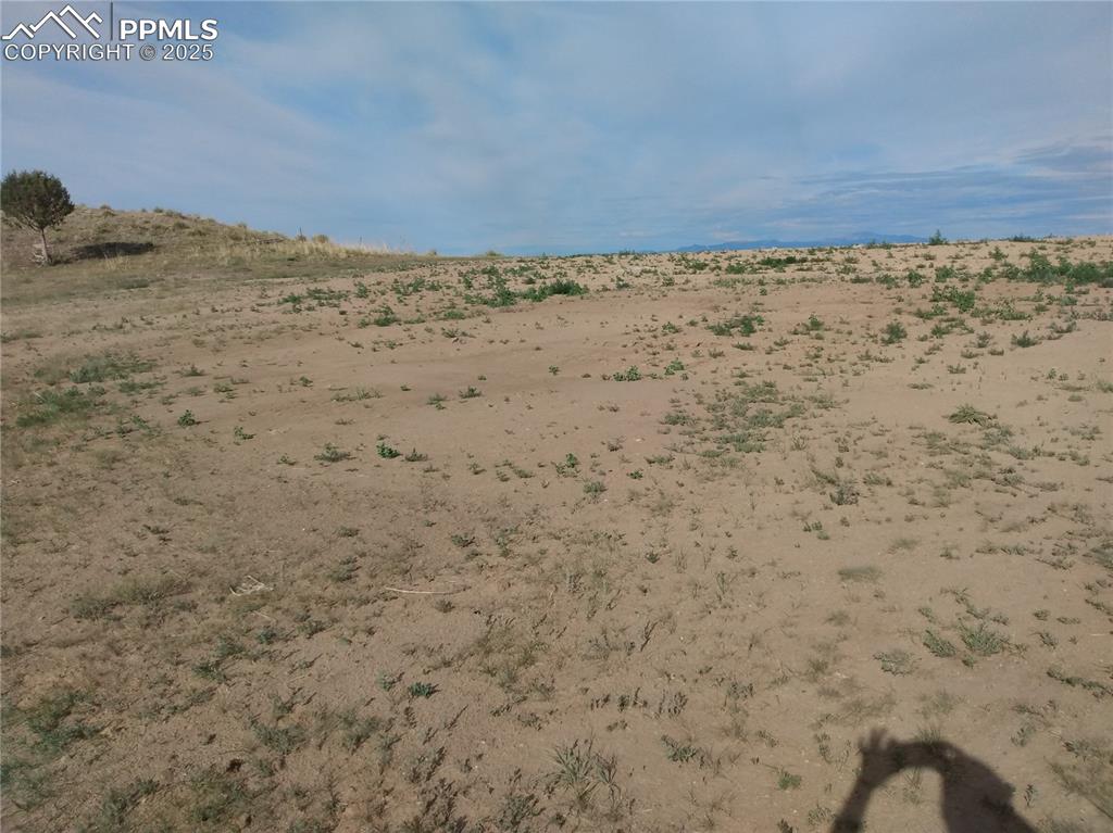 Image 13 of 24: Other