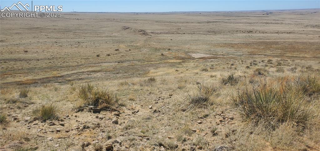 Image 14 of 24: Other