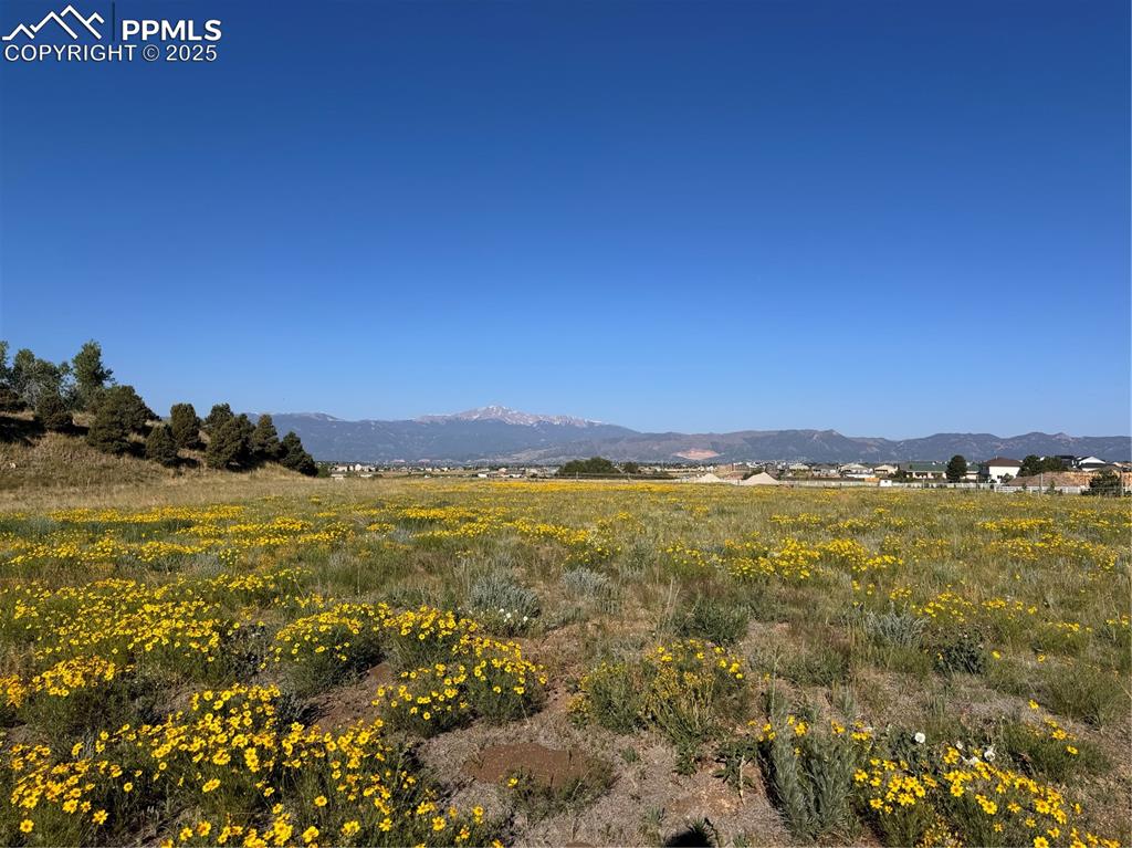 Image 49 of 50: View