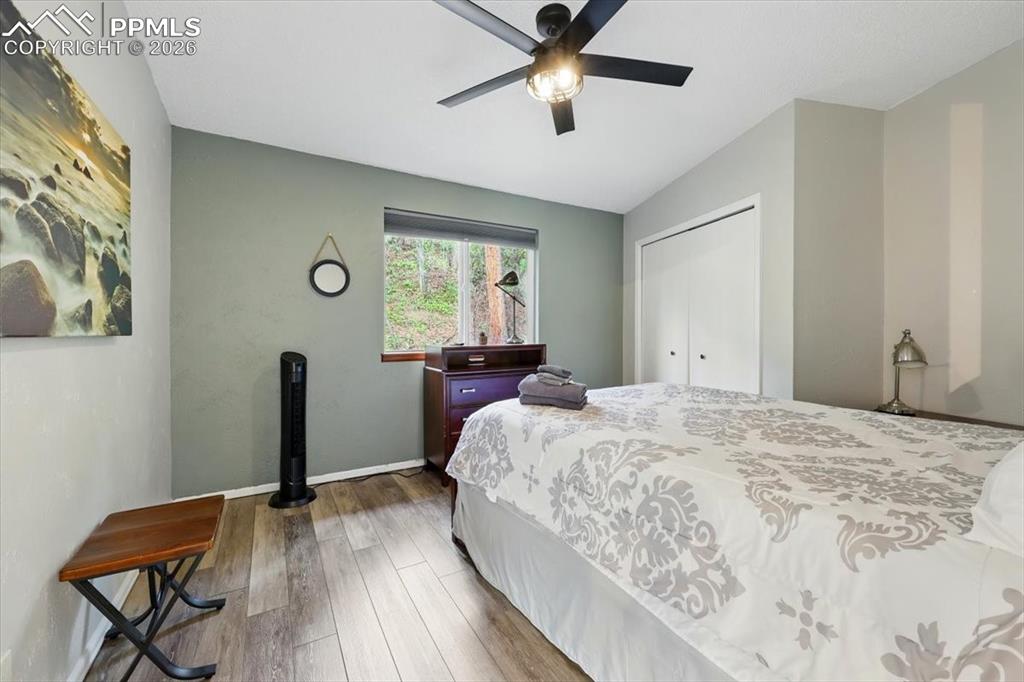 Image 44 of 46: No Description Available