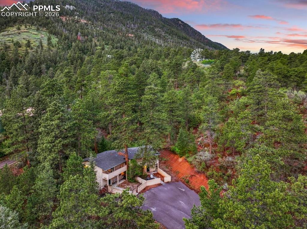 Image 6 of 46: No Description Available