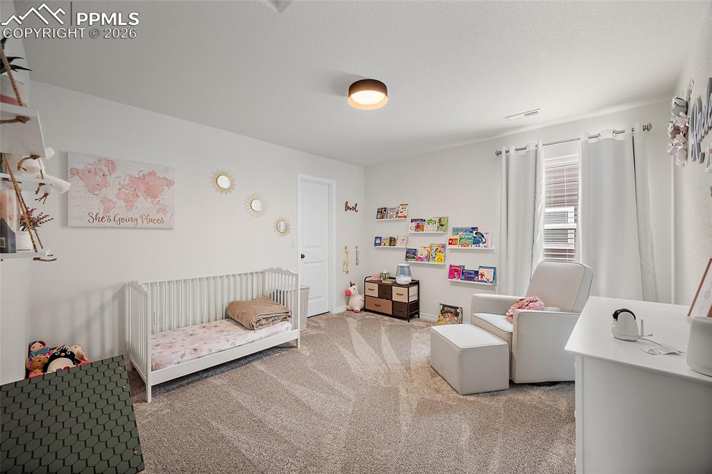 Image 33 of 45: Carpeted interior room featuring a window with blinds and drapes, a white p