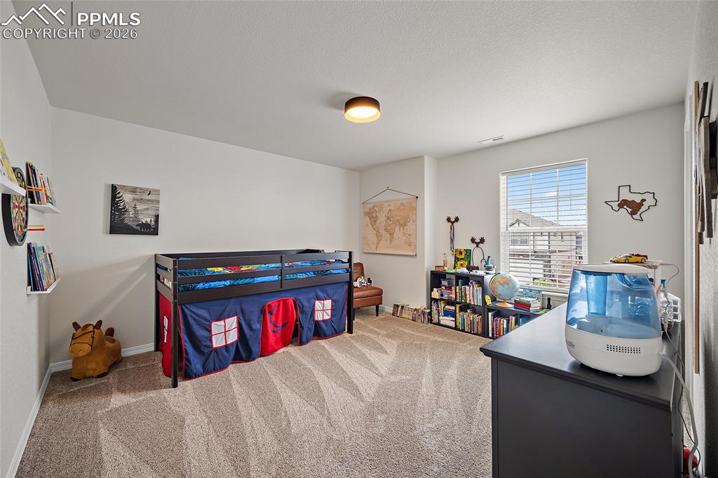 Image 35 of 45: Spacious room with plush patterned carpeting