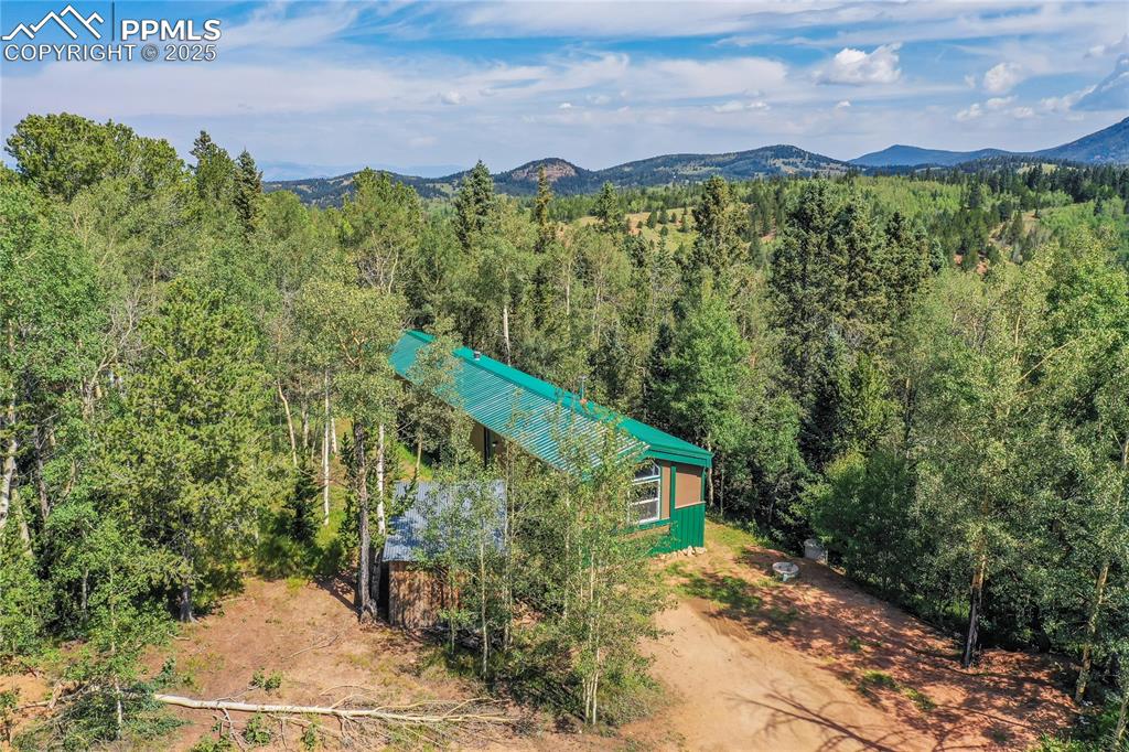 Image 26 of 50: View from above of property featuring a forest and mountains