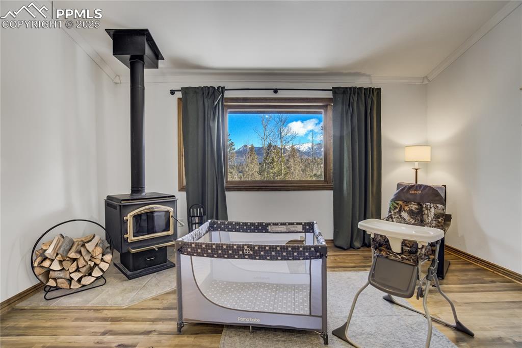 Image 8 of 50: Family room with a wood stove, LVP flooring, views of Pikes Peak. 