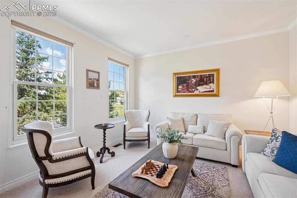 Image 16 of 45: Living Room
