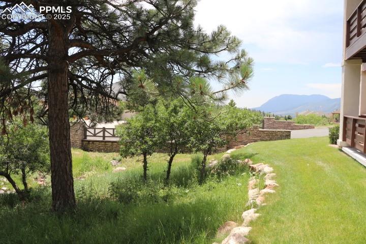 Image 41 of 44: Yard