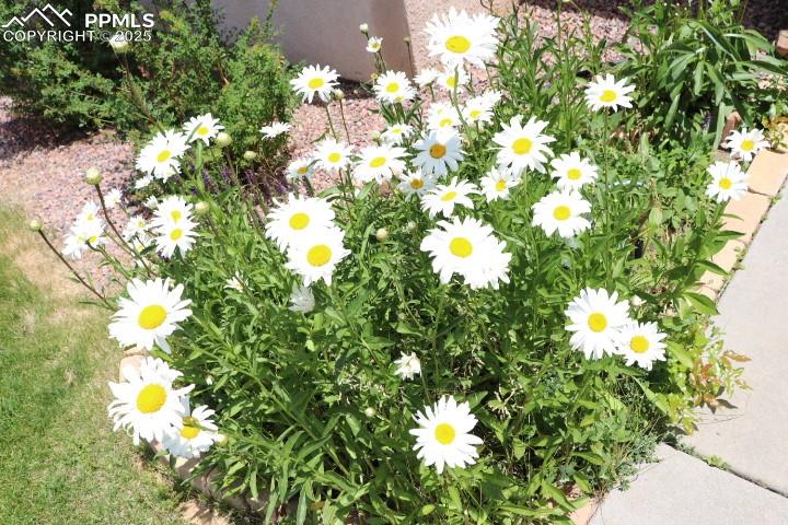 Image 44 of 44: Other