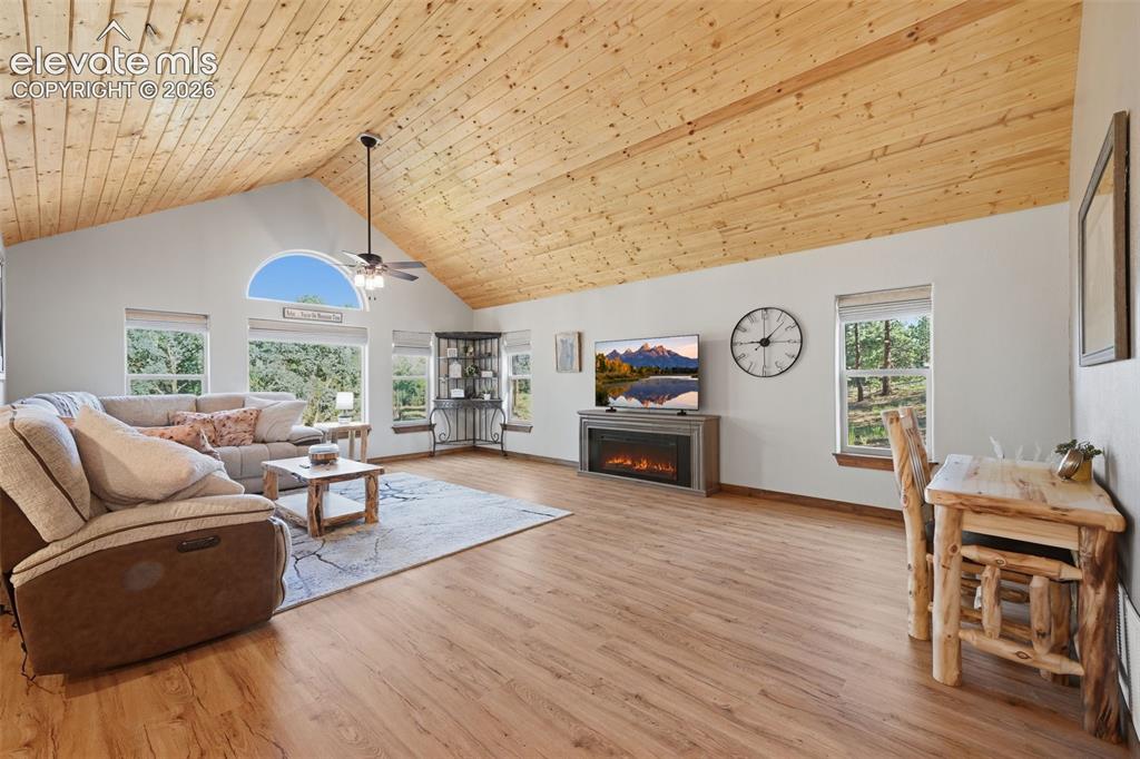 Image 14 of 40: Living Room