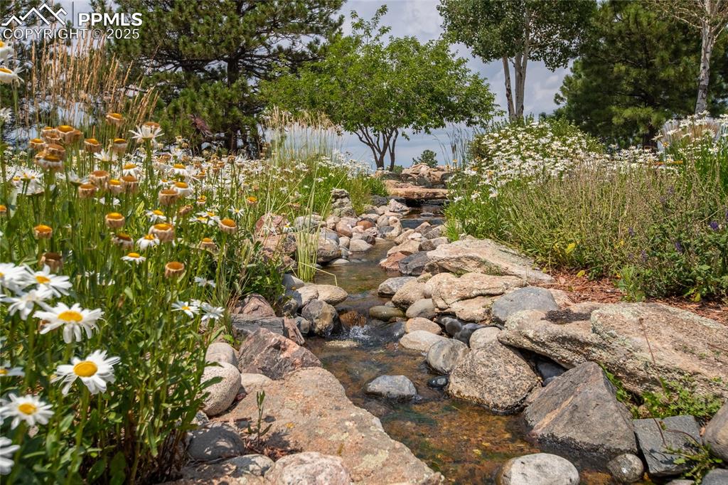 Image 13 of 35: Yard