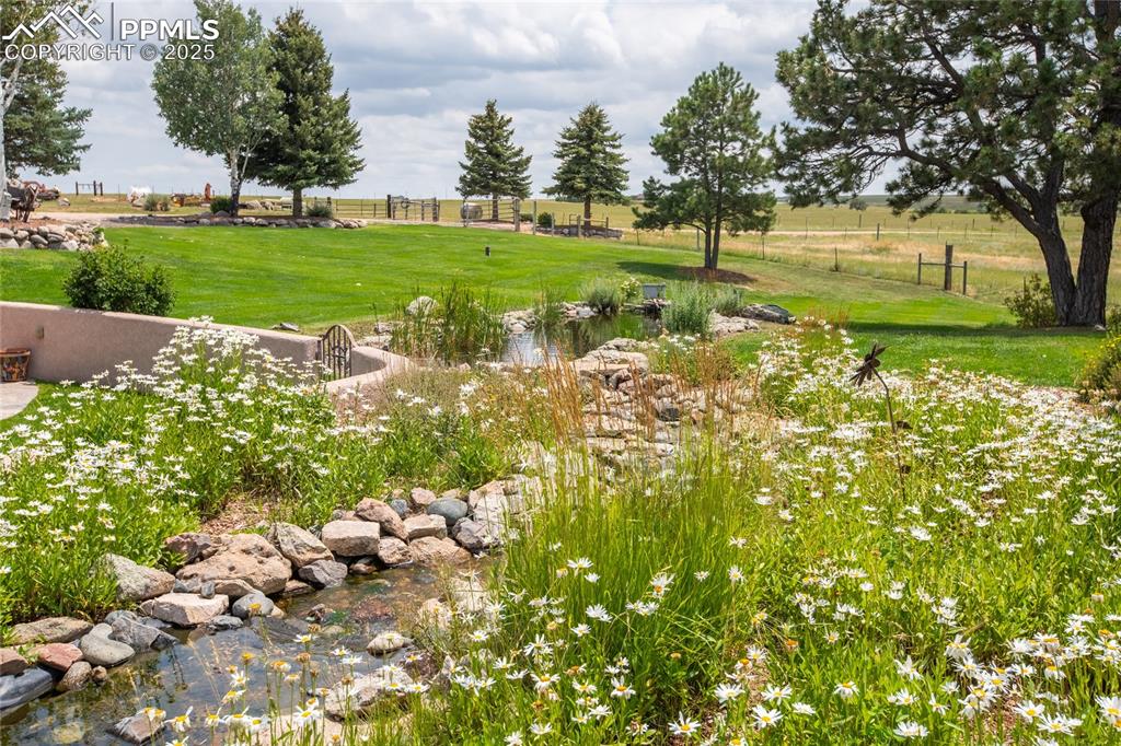 Image 15 of 35: Yard