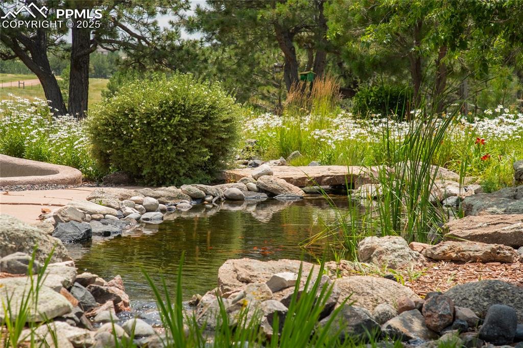 Image 4 of 35: Other