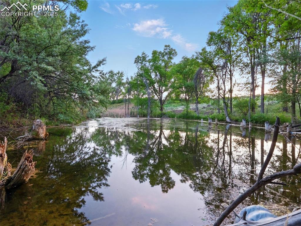 Image 38 of 45: Your private pond