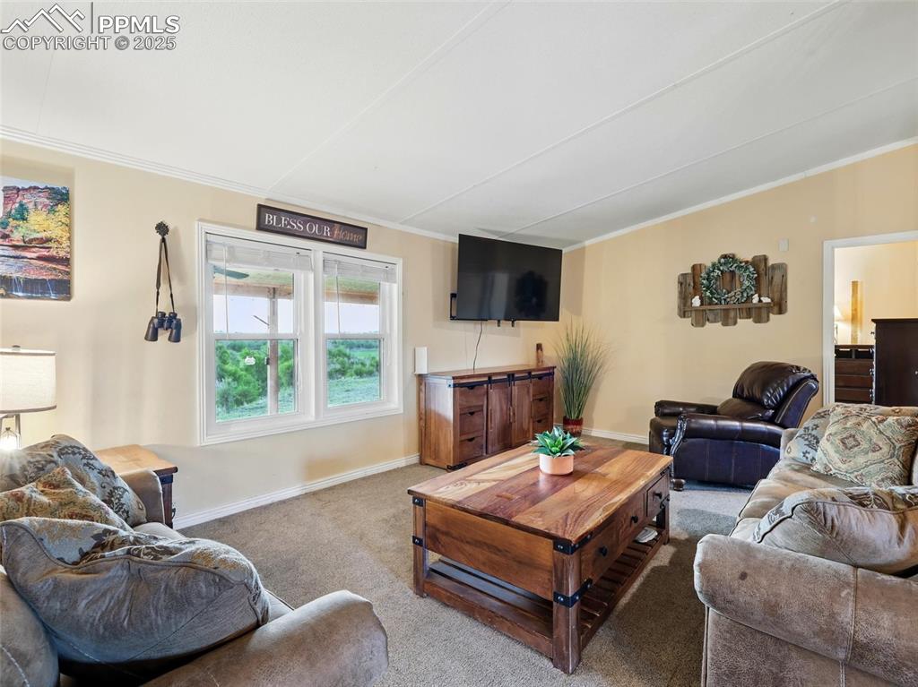 Image 5 of 45: Living room featuring carpet flooring and view