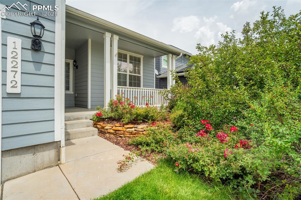 Image 40 of 48: Entry