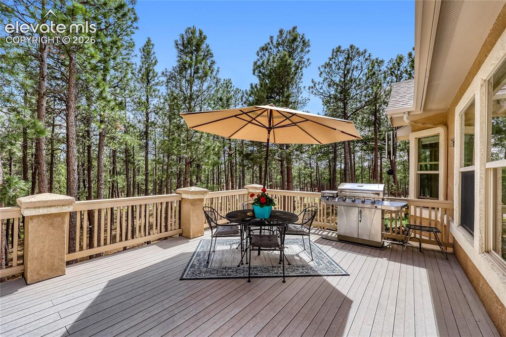 Image 15 of 47: Deck