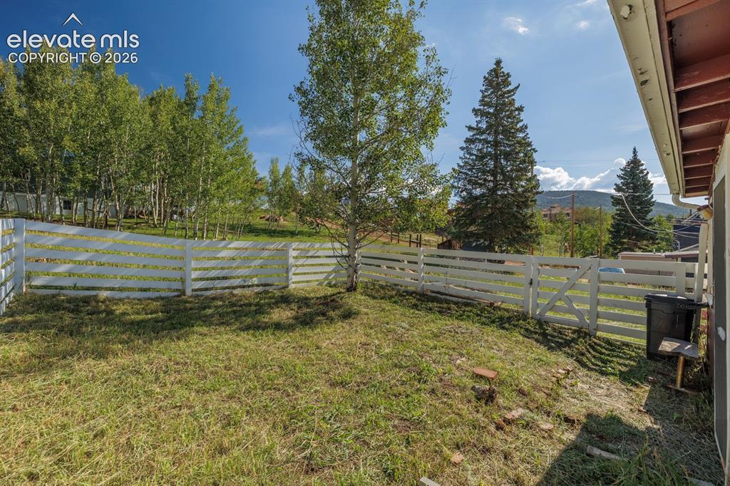 Image 15 of 22: Yard