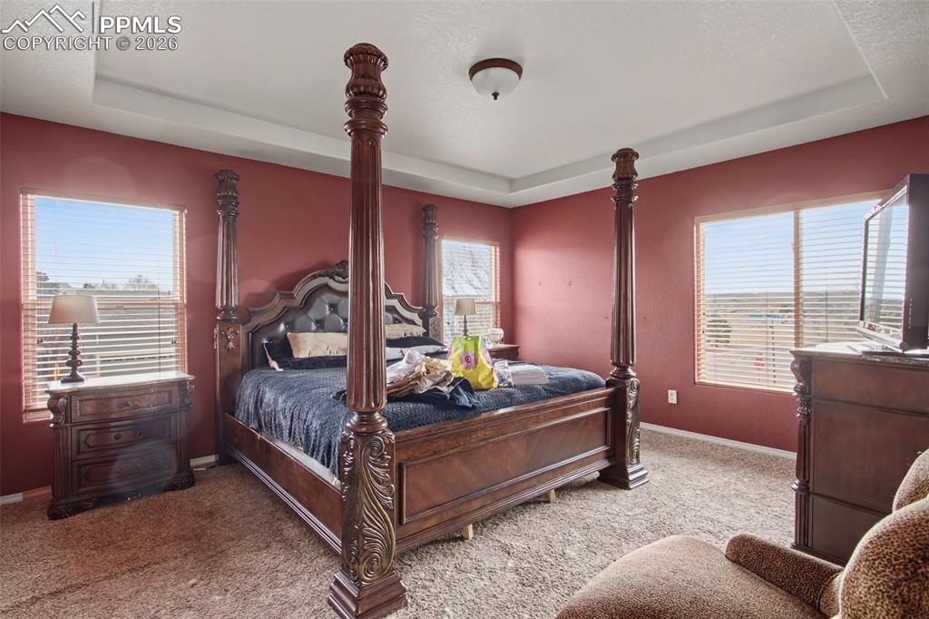 Image 19 of 33: Carpeted bedroom featuring a raised ceiling