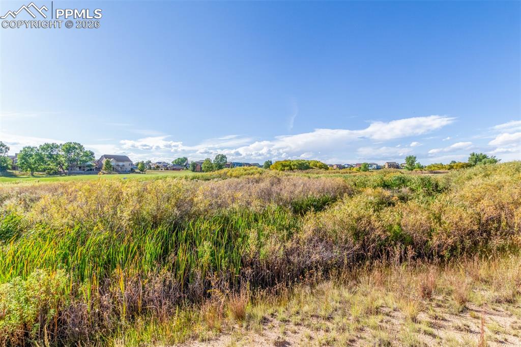 Image 42 of 46: View of local wilderness with rural landscape