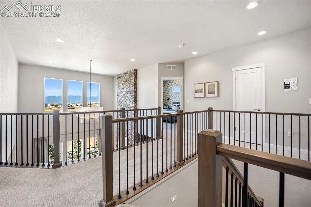 Image 17 of 49: Other