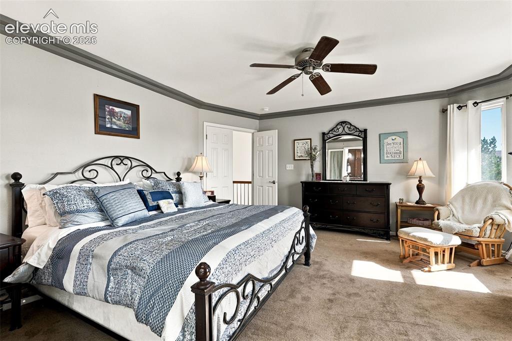 Image 21 of 50: Spacious room featuring neutral carpeting, ceiling fan, and crown molding