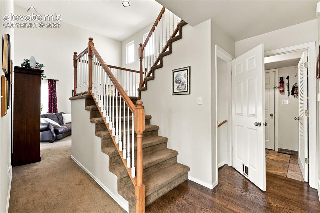 Image 32 of 50: Hardwood-style flooring, paneled interior doors, and a carpeted staircase w
