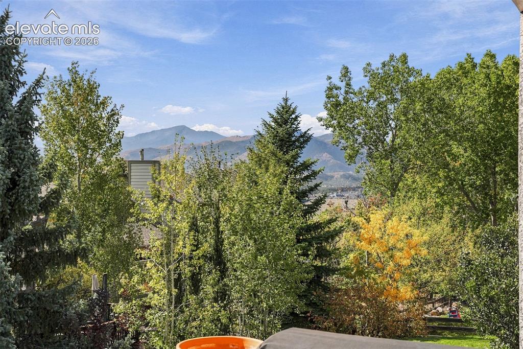 Image 46 of 50: Mountain backdrop with a clear sky, surrounded by mature trees