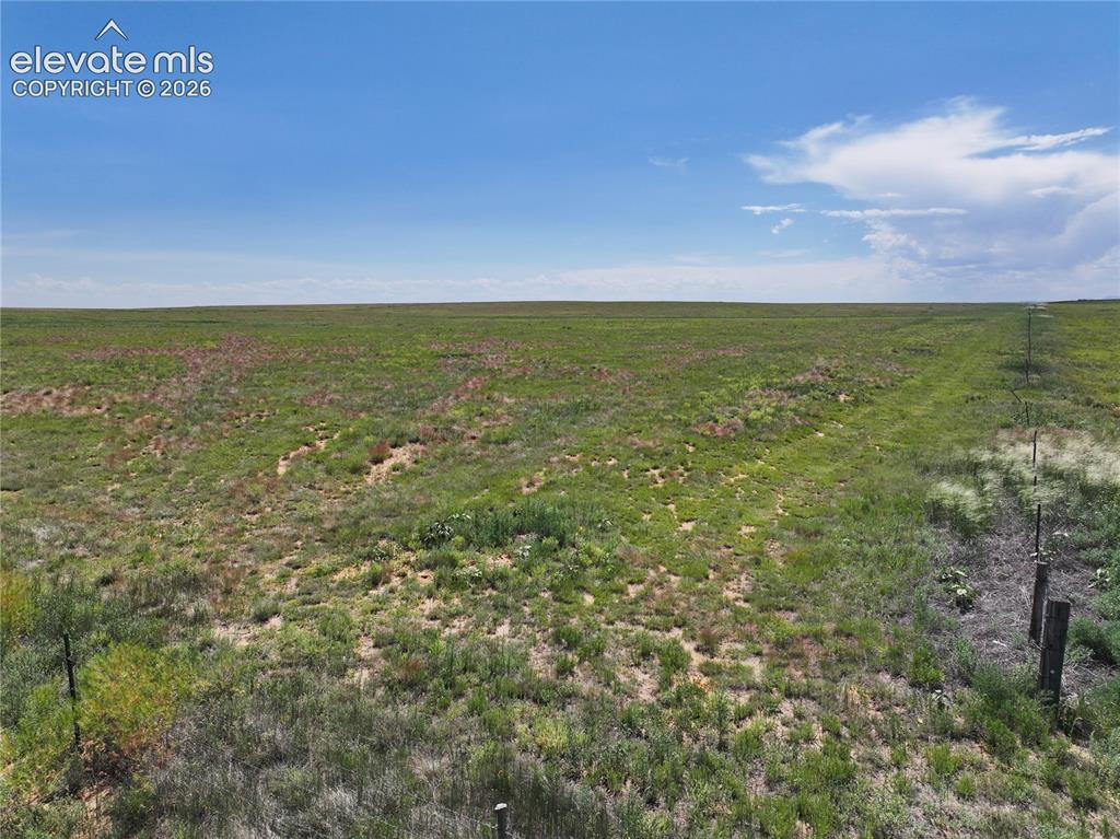 Image 6 of 7: Other