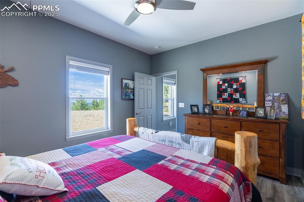 Image 21 of 41: Bedroom with multiple windows, wood finished floors, and a ceiling fan