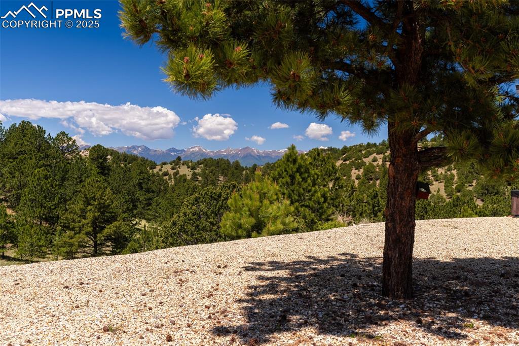 Image 28 of 41: View of mountain background featuring a heavily wooded area