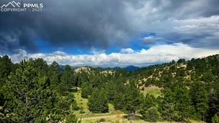 Image 38 of 41: View of mountain background featuring a heavily wooded area