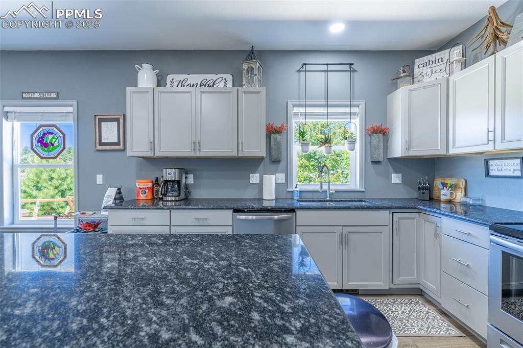 Image 8 of 41: Kitchen featuring stainless steel appliances, recessed lighting, and dark s