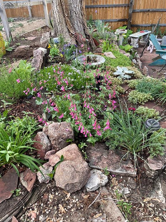 Image 42 of 47: Other