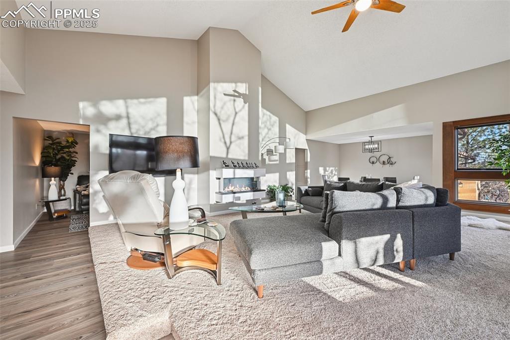 Image 14 of 48: Living area with a glass covered fireplace, high vaulted ceiling, wood fini