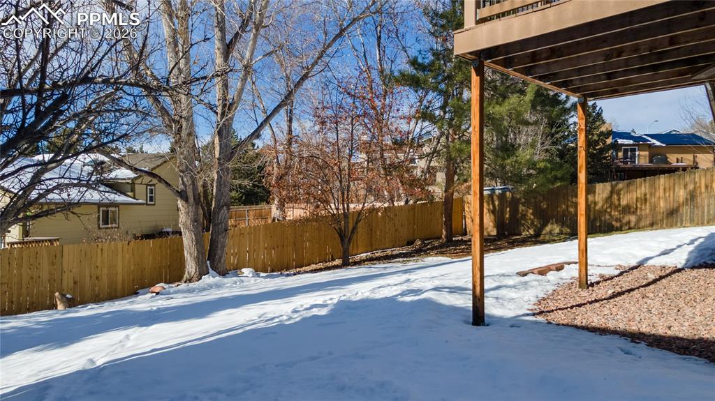 Image 19 of 36: Mature trees