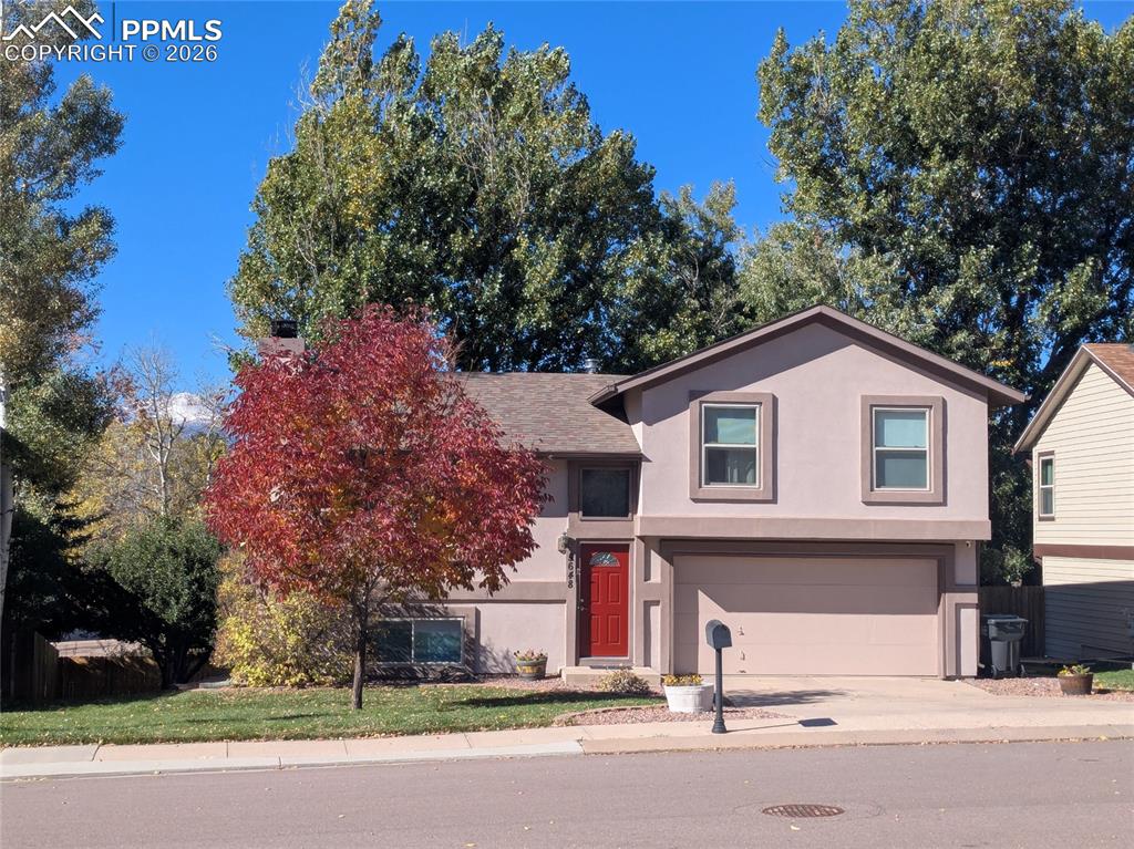 Image 31 of 36: Front tree in fall
