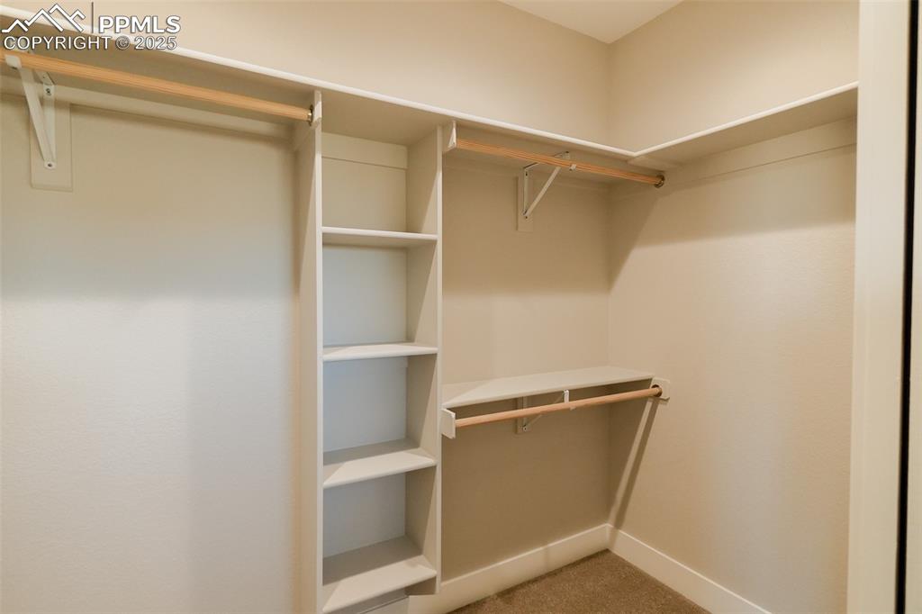 Image 28 of 47: Spacious master closet featuring carpet floors