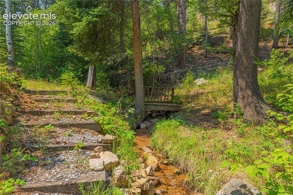 Image 5 of 44: Creek running through your backyard to enjoy from your back porch