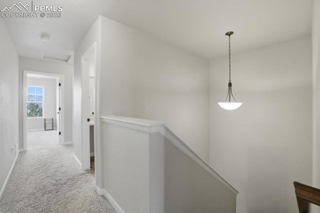 Image 17 of 37: Other