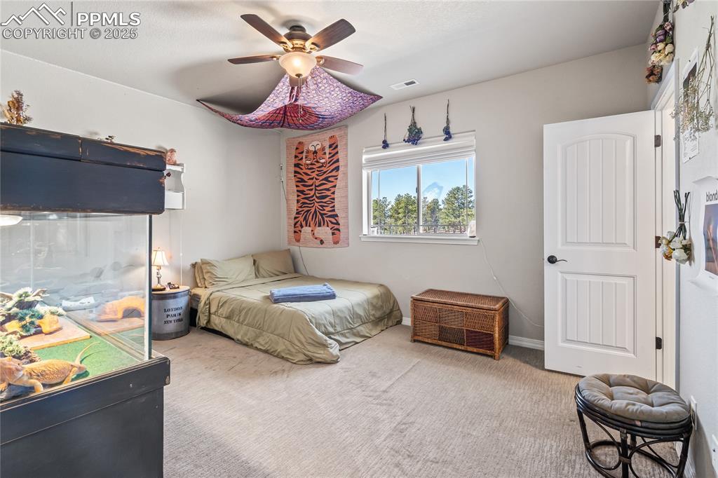 Image 24 of 46: Bedroom 1 with walk-in closet